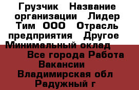 Грузчик › Название организации ­ Лидер Тим, ООО › Отрасль предприятия ­ Другое › Минимальный оклад ­ 16 000 - Все города Работа » Вакансии   . Владимирская обл.,Радужный г.